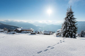 Гостиница Sattleggers Alpenhof & Feriensternwarte  Берг